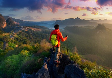 Dolphin Watching and Snorkel Cruise with Snacks